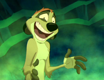 Timon going crazy.