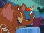 Tantor with The Aracuan Bird in House of Mouse