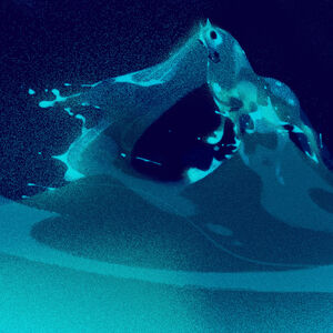 The Nokk Disney Wiki Fandom The studio describes the nokk as a mythical water spirit that takes the form of a horse and uses the power of the ocean to guard the secrets of the forest. the nokk disney wiki fandom