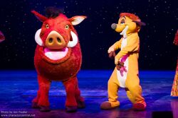 Timon and Pumbaa DisneyDreams