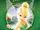 Tinker Bell (film)