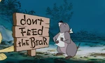 Winnie-the-pooh-disneyscreencaps.com-2549.jpg (360 KB) "DON'T FEED THE BEAR!"