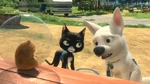 Bolt looks at Rhino, seemingly puzzled.