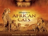 African Cats