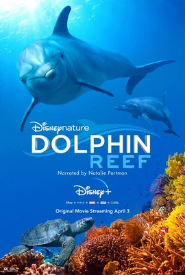 Dolphin Reef - Poster