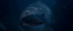 Glut the Shark