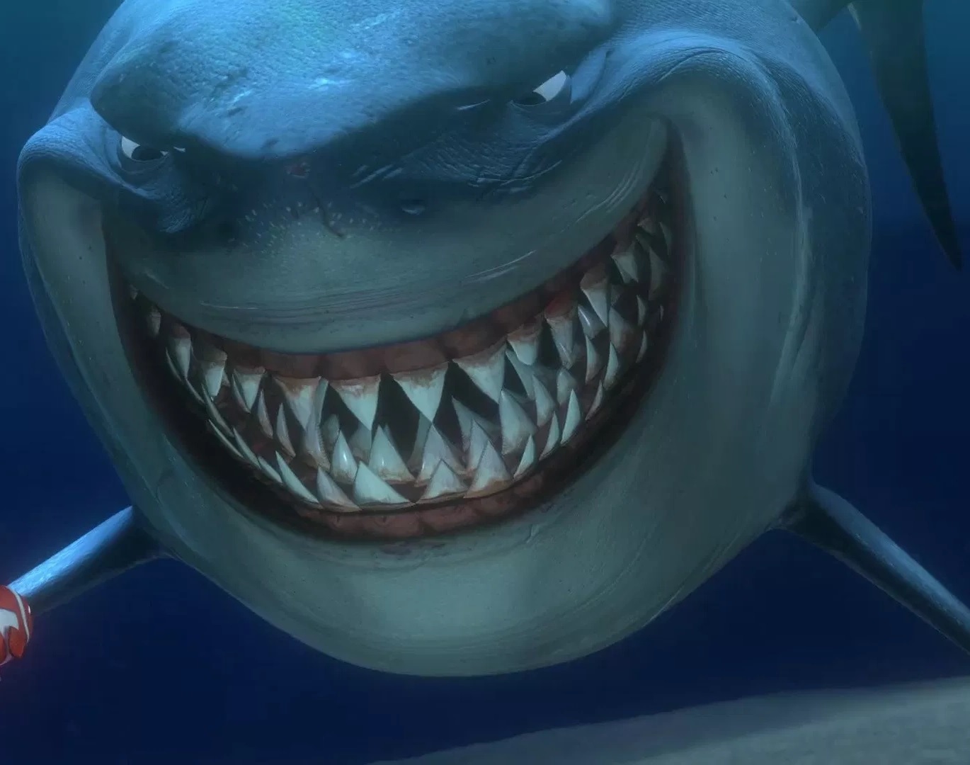 Bruce The Shark From Nemo Pic Mullet