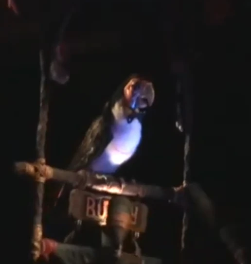 Buddy (Get the Fever)