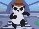 Peter the Panda