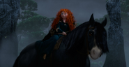 Brave-angus-1-