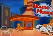 House Of Mousedogsandcats2