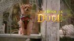 Dude (Descendants franchise)