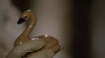 Once Upon a Time - 6x11 - Tougher Than the Rest - Wooden Swan