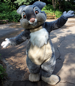 Tambor Disney Wiki Fandom