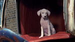 102-dalmatians-disneyscreencaps.com-10537