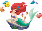 Ariel-fish-friends