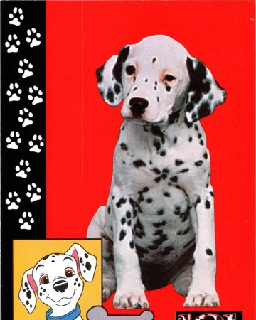 barb trolls world tour toy