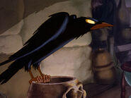 The Raven from Snow White and the Seven Dwarfs