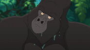 Kerchak rolls his eyes annoyed