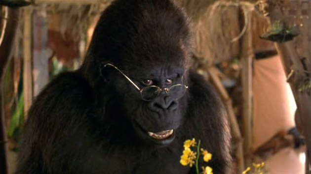 george of the jungle gorilla