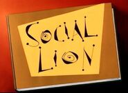 Social Lion