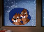 Chip 'n' dale looking outside the window