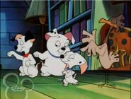 Cadpig, Lucky, Rolly and Spot dancing