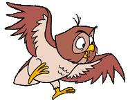 Owl