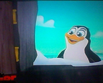 Percy the penguin18