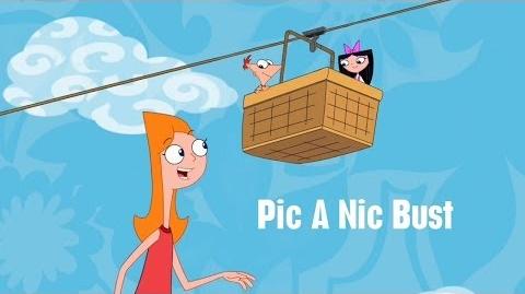 Phineas and Ferb - Pic A Nic Bust