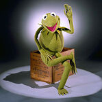 Stock photo of the Smithsonian's Kermit