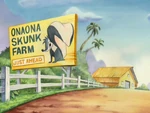 Onaona Skunk Farm
