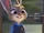 Zootopia (video)/Gallery