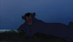Bagheera talks in his sleep