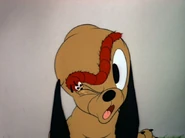 Tumblr nfgw41KBbl1qhcrb0o1 1280.jpg (54 KB)