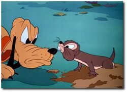 Canine Caddy | Disney Wiki | Fandom Canine Caddy | Disney Wiki | Fandom