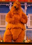 Bear in Disney Parks