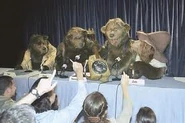 Fred and the rest of the band breaking up