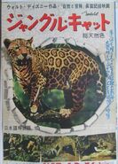 Poster from the release in Japan on November 22, 1960