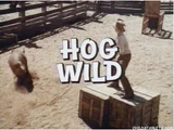 Hog Wild