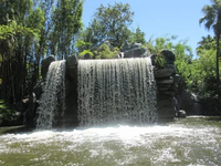 Schweitzer Falls WDW