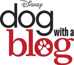 Dog with a Blog