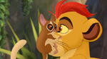 Laini on Kion's muzzle