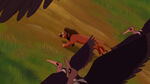 Lion-king2-disneyscreencaps.com-6969