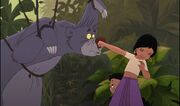 Shanti and Baloo