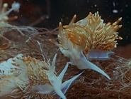 1959-profondeurs-4.jpg (92 KB)