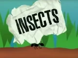 Insects