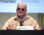 Bill Murray speaks during the 2015 San Diego Comic Con.