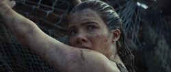 Kingdom of the Planet of the Apes (4)