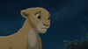 Lion-king2-disneyscreencaps.com-7481